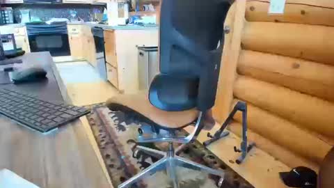 Snapshot of wobbleon chatting on 10-16-25, 06:31 Gobbleon online show from 10-16-25, 06:31