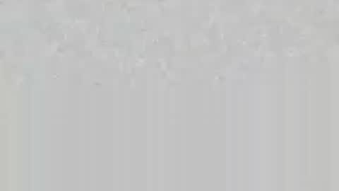 wolfsand online show from 06-16-26, 06:54