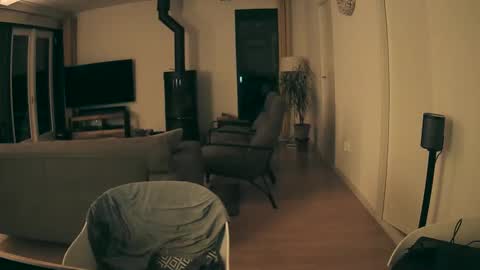 woodwurm and Snoeske online show from 02-28-26, 05:52