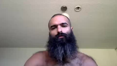 Snapshot of woof_wolf37 chatting on 10-16-25, 03:46 woof_wolf37 online show from 10-16-25, 03:46