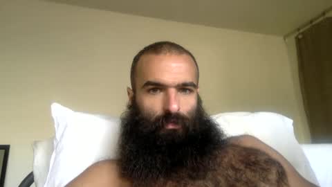 woof_wolf37 online show from 04-07-26, 03:45