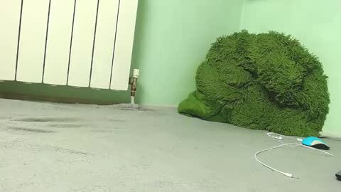 Snapshot of wow_devil chatting on 12-27-24, 06:57 wow_devil online show from 12-27-24, 06:57