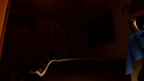 wvuguy1986 online show from 03-08-26, 05:22