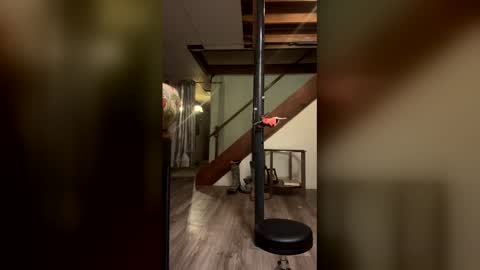 wyattmcc32288 online show from 03-02-26, 08:10