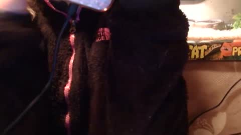 x2kayx2 online show from 01-10-26, 11:31