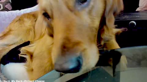 Lily online show from 01-15-25, 02:38