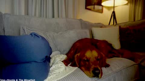 Lily online show from 09-15-25, 11:27