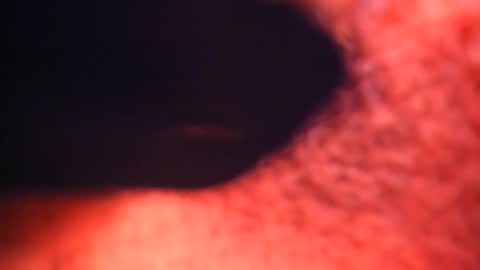 Snapshot of xallysonx_ chatting on 02-12-25, 02:21 XALLYSONX online show from 02-12-25, 02:21