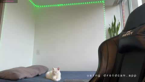 Snapshot of xavier_colleman chatting on 05-07-26, 10:26 Xavier online show from 05-07-26, 10:26
