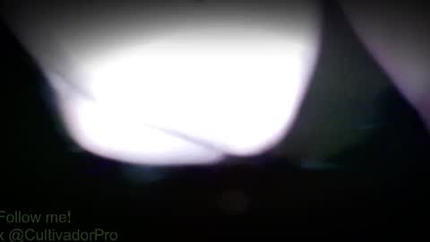 Mr Balax online show from 07-28-26, 03:21