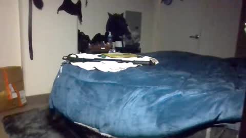 Toke online show from 12-09-24, 02:06