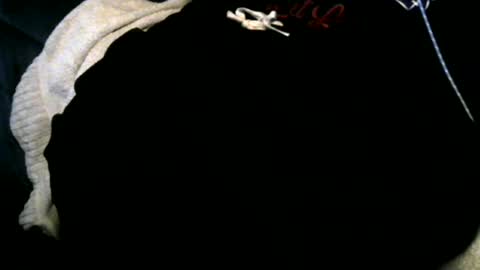 Toke online show from 12-12-24, 06:57