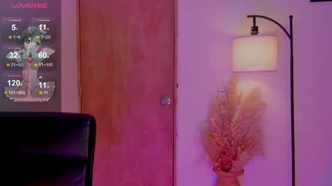 Snapshot of ximena_sotto1 chatting on 12-31-24, 10:34 camila online show from 12-31-24, 10:34