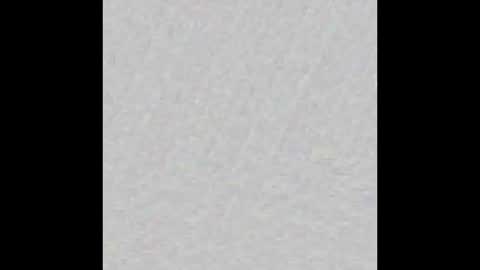 JSSD online show from 03-08-25, 09:50