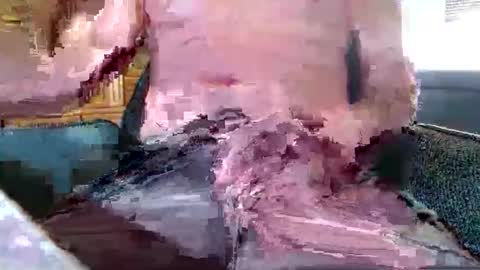 xmen43hot online show from 09-18-25, 08:49