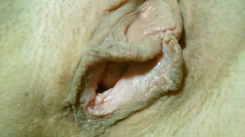 Lost in Lust online show from 01-31-25, 12:50