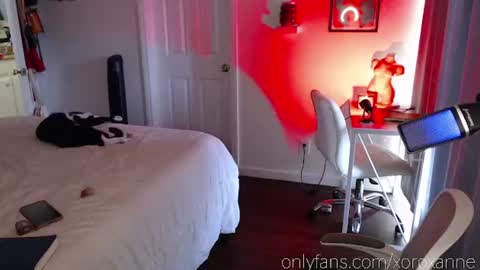 Snapshot of xoroxanne chatting on 10-27-25, 09:30 xoroxanne online show from 10-27-25, 09:30