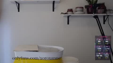 Snapshot of xoroxanne chatting on 02-11-26, 08:36 xoroxanne online show from 02-11-26, 08:36