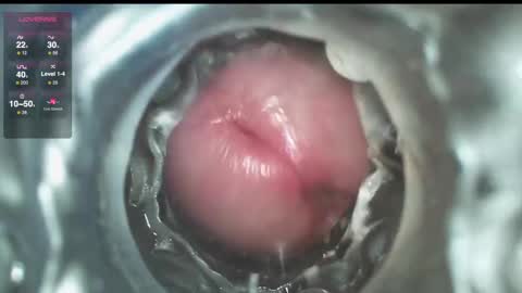 xoxowtf online show from 12-01-24, 09:48