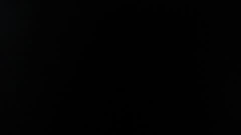 wuulmarpoltieer online show from 12-05-24, 11:07