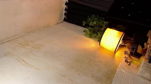 Sophie online show from 10-19-25, 05:57