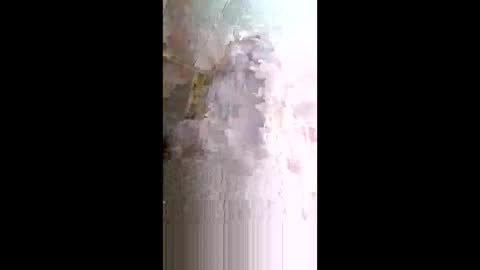 xxjessiebugxx online show from 05-14-26, 02:29