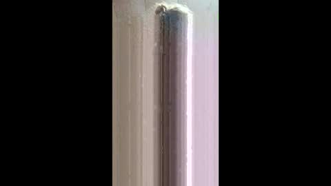 xxjessiebugxx online show from 05-20-26, 02:40