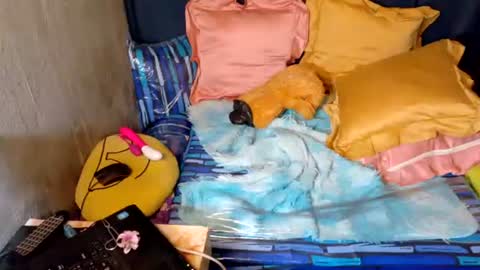 Snapshot of xxloveheart chatting on 09-30-25, 06:29 xxloveheart online show from 09-30-25, 06:29