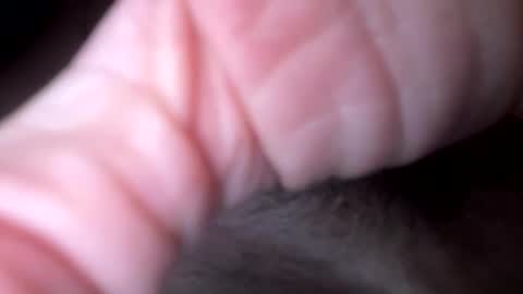 xxx5679333567 online show from 02-06-26, 12:04