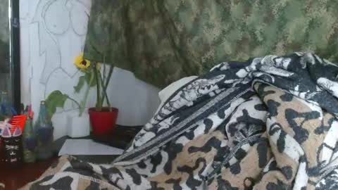 Snapshot of xxx_morena chatting on 01-04-25, 12:05   LILI  online show from 01-04-25, 12:05