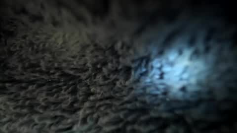 Snapshot of xxxdanidoomsdayxxx chatting on 01-05-25, 05:51 Danielle online show from 01-05-25, 05:51