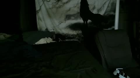 Snapshot of xxxjrstrokesxxx chatting on 01-25-25, 02:15 xxxjrstrokesxxx online show from 01-25-25, 02:15