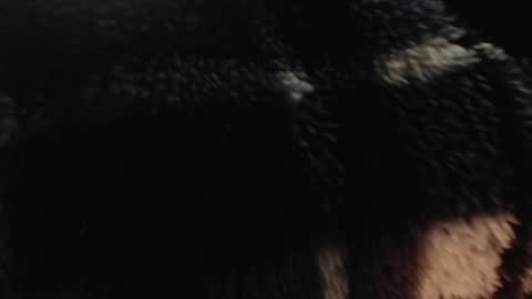 Snapshot of xxxking89 chatting on 12-14-24, 05:36 xxxking89 online show from 12-14-24, 05:36