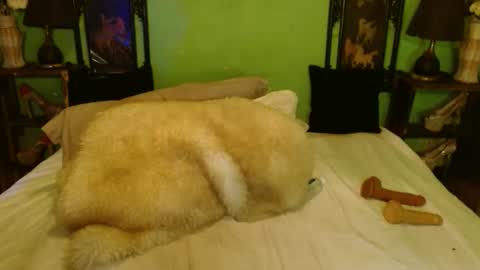 Snapshot of xxxpamelabombxxx chatting on 02-28-25, 07:46 PAMPAM online show from 02-28-25, 07:46