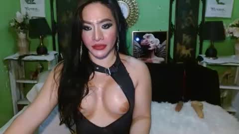 PAMPAM online show from 04-23-26, 08:46