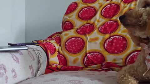 TonyDoesMiami online show from 01-26-25, 05:13