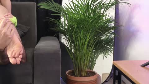 July and Fer online show from 02-04-25, 08:49