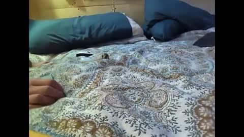 Snapshot of xzbib chatting on 03-10-25, 12:29 Xzbib online show from 03-10-25, 12:29