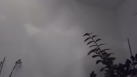 Snapshot of yakijoe chatting on 11-06-25, 10:43 yakijoe online show from 11-06-25, 10:43