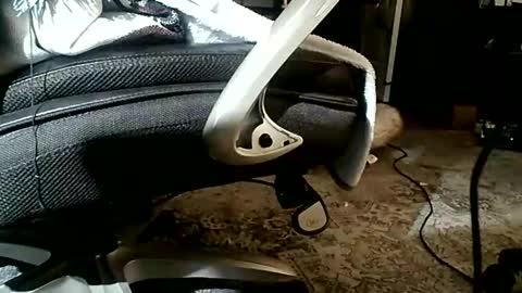 yamagrow online show from 04-19-26, 01:10