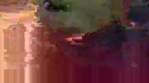 yangolox3 online show from 02-15-26, 05:48