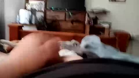 yeet3244 online show from 09-18-25, 06:48