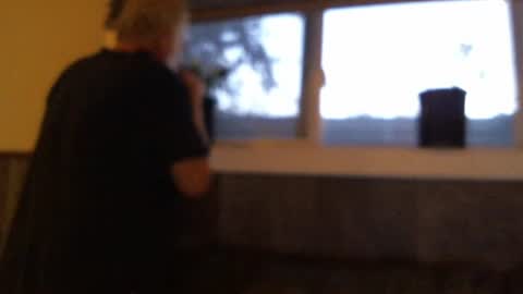 .     y e l l o w s n a k e s       . online show from 10-19-25, 12:44