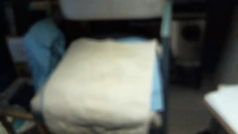 .     y e l l o w s n a k e s       . online show from 02-03-26, 06:22