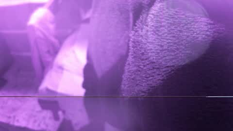 .     y e l l o w s n a k e s       . online show from 02-20-26, 09:59