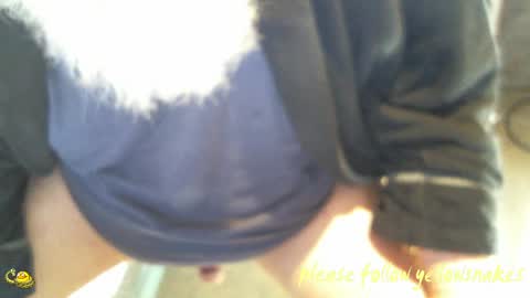 .     y e l l o w s n a k e s       . online show from 04-26-26, 07:22