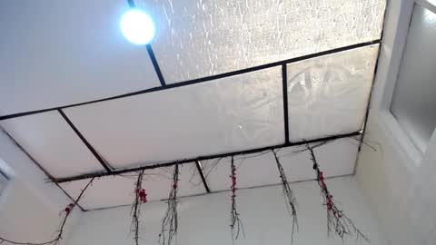 YEM online show from 03-23-26, 03:38