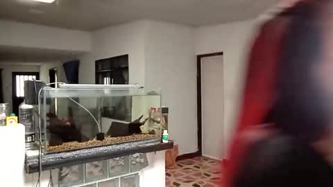 yesika_t online show from 01-09-26, 05:48