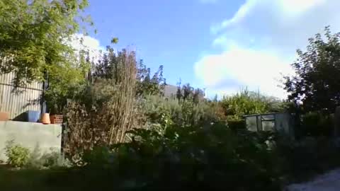 Snapshot of yoannsexmalo chatting on 10-09-25, 01:42 Yoann online show from 10-09-25, 01:42