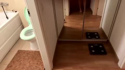 yonise909383 online show from 02-03-25, 12:36